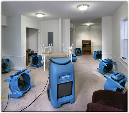 Mold Remediation & Removal in Port Jefferson, NY