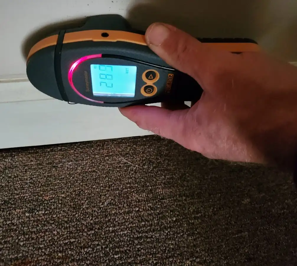 Moisture detection at baseboard during Sewage Cleanup & Sanitation in Port Jefferson